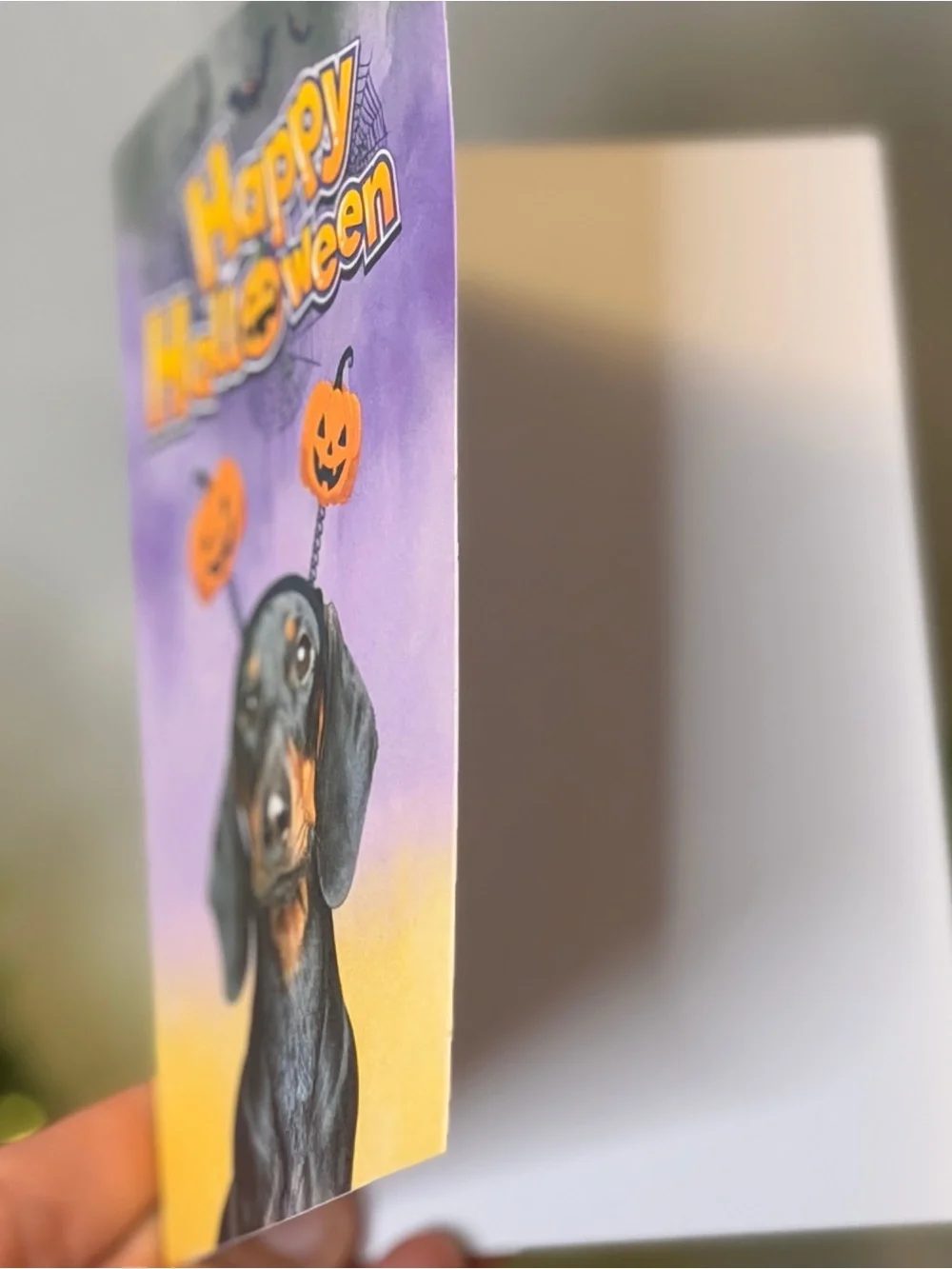 N/A celebrate spooky